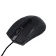 Maxlife MXHM-01 Optical Mouse 1000 DPI 1.2m Black