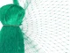 Anti-Bird Protective Garden Net 4x6m, Green