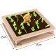 Kruzzel Wooden 2-in-1 Farm Toy Memory & Ball Sorting Game 22755