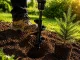 Garden Auger Drill Bit for Planting for Drills and Screwdrivers 30 x 8 cm, Black