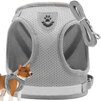 No-Pull Harness with Leash for Dogs and Cats, Reflective, XS, Grey