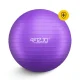 4FIZJO 65cm Exercise Ball for Yoga and Physical Therapy with Pump, Purple