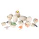 Dinosaur Egg Dig Kit for Kids – 12 Dino Eggs Archaeology STEM Toy