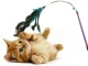 Interactive Cat Wand Toy with Feathers and Rattle Fishing Pole Teaser