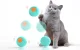 Rojeco RWJ-12 Interactive Cat Ball, Green