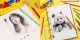 Drawing Sketch Pencil Set ARRTX, 4H–8B, 14 pcs