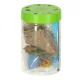 Dinosaur Terrarium with LED Night Light and Projector