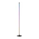 Switchbot W1702101 RGBICWW Smart Floor Lamp
