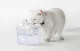 Rojeco 1.5L Pet Water Fountain - Ultra-Quiet Automatic Dispenser Cats & Dogs
