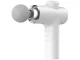 Body Massage Gun, Percussion Massager