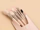 Makeup Brush Set with Case, 8 Pcs