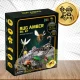 Insect in Amber Excavation Kit for Kids