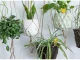 Yellow Sticky Traps for Plants Against Fungus Gnats and Insects, 12 pcs
