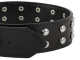Dog Collar with Studs, Faux Leather, Adjustable, Size L