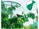 Heavy-Duty Bird Netting for Garden & Crop Protection 4x10 m