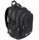 Shiny Snake 16 inch 4 Compartment Youth School Backpack