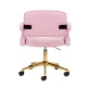 Swivel Beauty Salon Chair 4Rico QS-OF213G Velvet, pink
