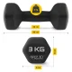 4FIZJO Cast Iron Dumbbell Set with Stand, 12 kg