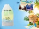 Waterproof Travel Organizer Bag for Socks, Semi-transparent