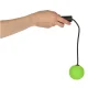 Cordless Jump Rope with Balls for CrossFit and Cardio