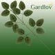 Gardlov Artificial Rose Leaf Branches, 51 cm, Set of 12