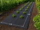 DIVODV Black Weed Control Fabric, 50 g/m², 1.5 x 10 m