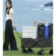 Gardlov Folding Transport Cart 100 kg, Black