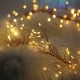 Copper Wire Fairy Lights 480 LED 9.8ft Forever Light CLF-02, Warm White