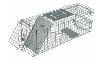 Humane Live Animal Trap XL for Martens Rats Raccoons and Cats