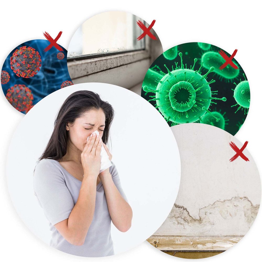 Air Dehumidifier, Moisture Absorber, Berdsen BD-529 (3)