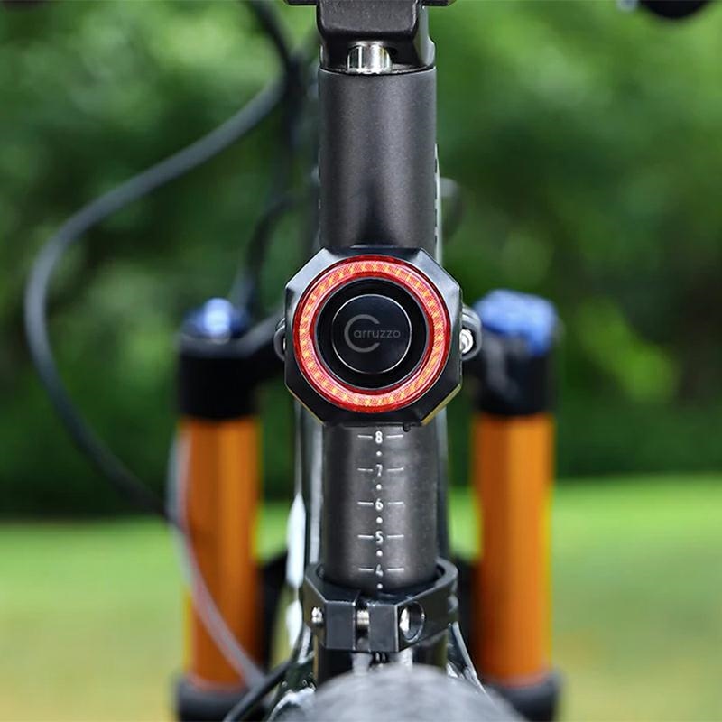 Bike alarm tail lights (2)