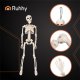 Posable Hanging Skeleton Halloween Decoration 40cm Ruhhy 26027