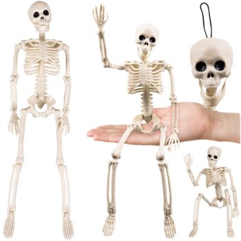 Posable Hanging Skeleton Halloween Decoration 40cm Ruhhy 26027