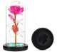 Eternal Rose in Glass LED, Pink