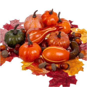 Autumn Decor Set 50 pcs Artificial Pumpkins & Acorns Ruhhy 26571