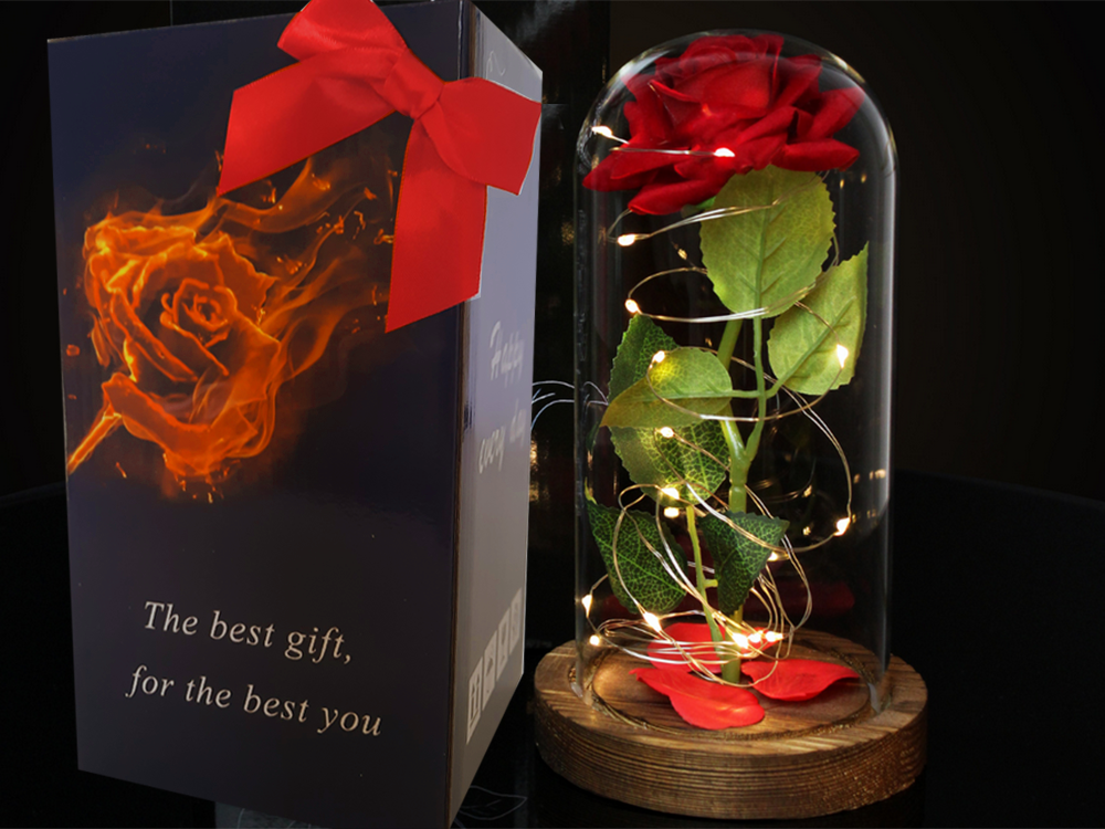 Eternal Rose in Glass Dome with LED Lights Romantic Gift, Red (1)