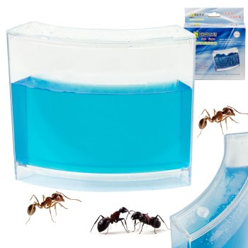 Gel Ant Farm Formicarium