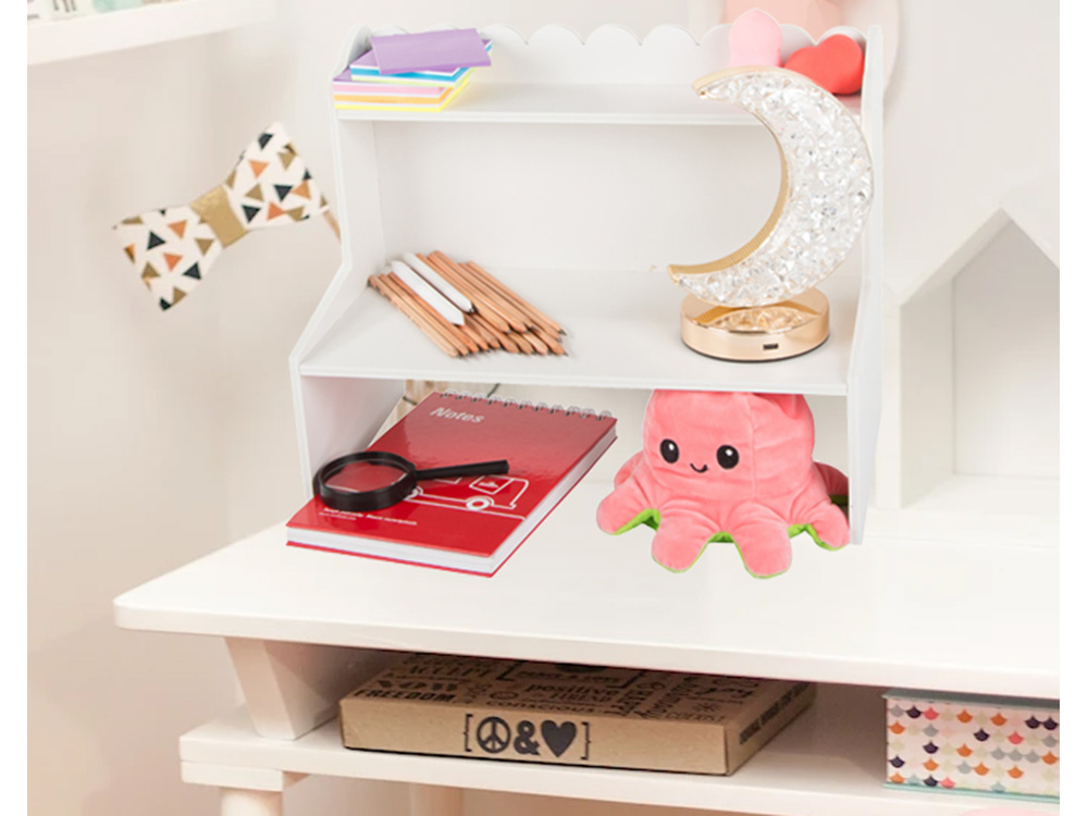 Desk Organiser Cabinet Shelve Bookcase (1)