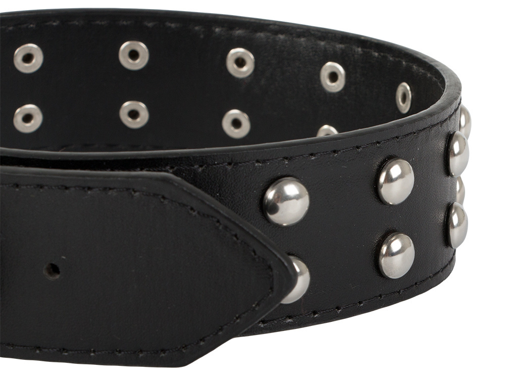 Adjustable eco-leather dog collar with studs L (1)