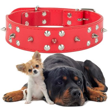 Adjustable dog collar with studs, eco leather, XL, assorted colors
