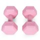 ModernHome Hex Dumbbell Set 2x2 kg Hand Weights for Fitness, Pink