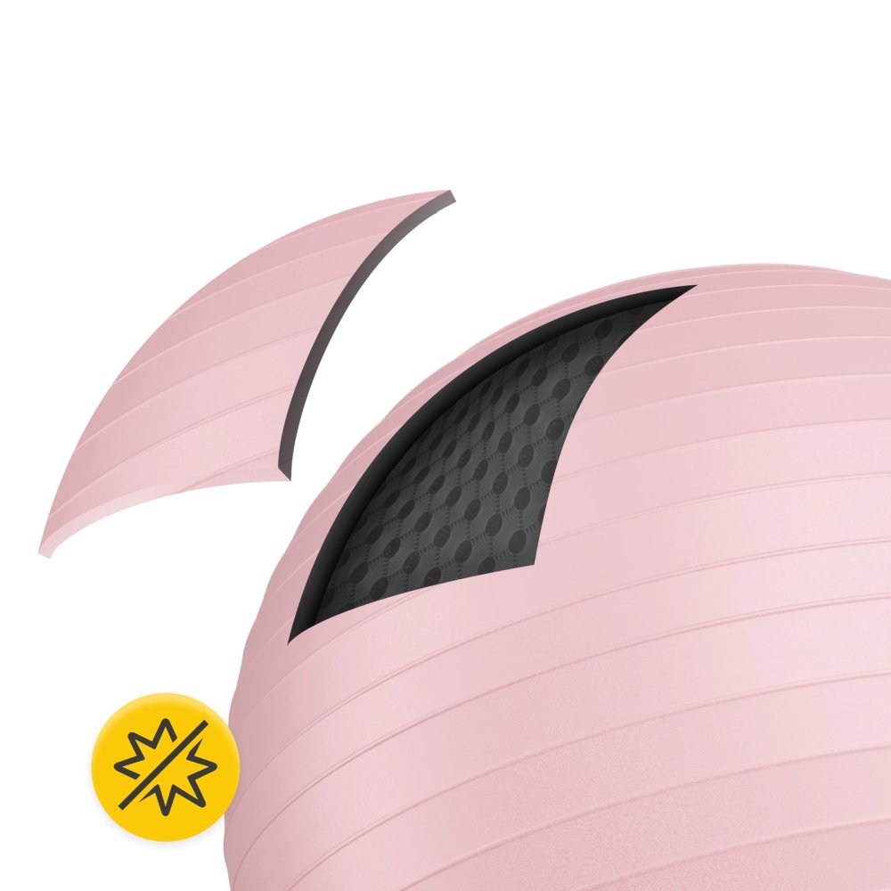 4FIZJO 65cm Exercise Stability Ball for Yoga & Physical Therapy, Pink (2)