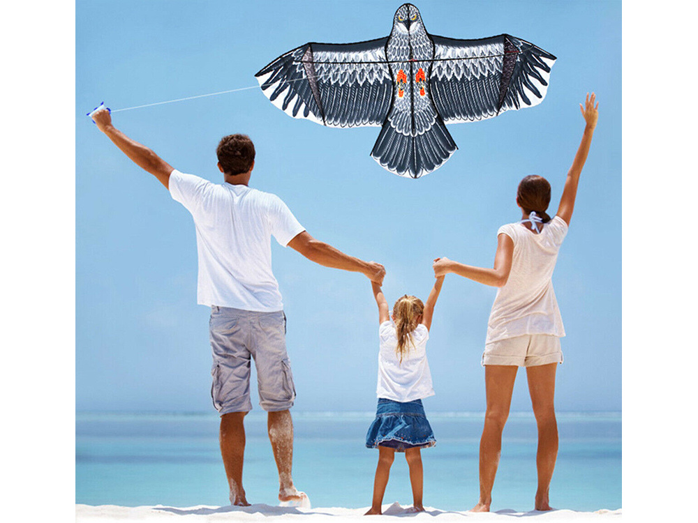 Flying Kite Eagle, 200cm (4)