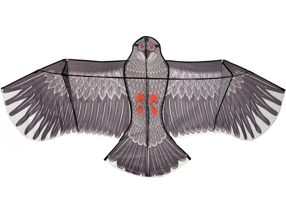 Flying Kite Eagle, 200cm (6)