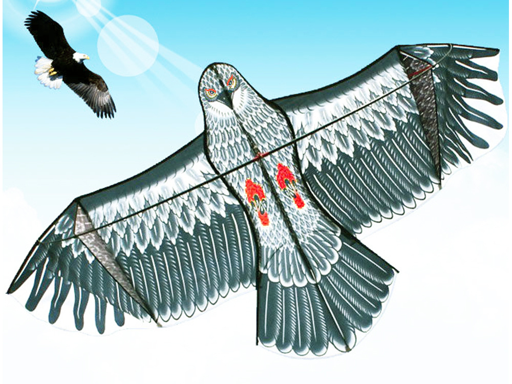 Flying Kite Eagle, 200cm (12)