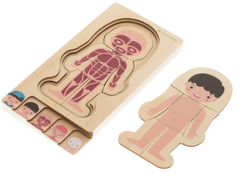 Wooden educational puzzle "Montessori" anatomy, studying the parts of the body, boy (1)