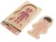 Wooden educational puzzle \"Montessori\" anatomy, studying the parts of the body, boy