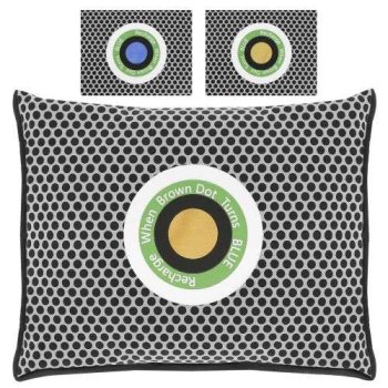 Dehumidifier Moisture Absorber for Car