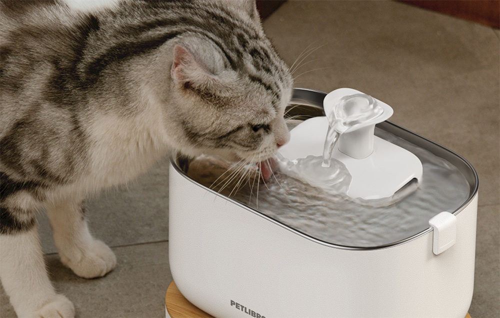 Petlibro Dockstream Smart Water Fountain with App Control 2.5L (2)