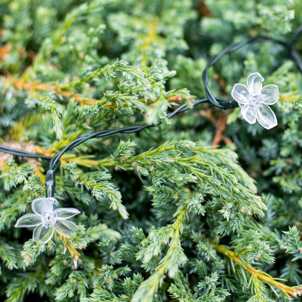 Outdoor Garden Lights "Flowers" 7m 50 LED with Solar Battery, Multicolored (3)